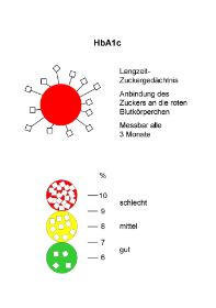 HbA1c (1).jpg